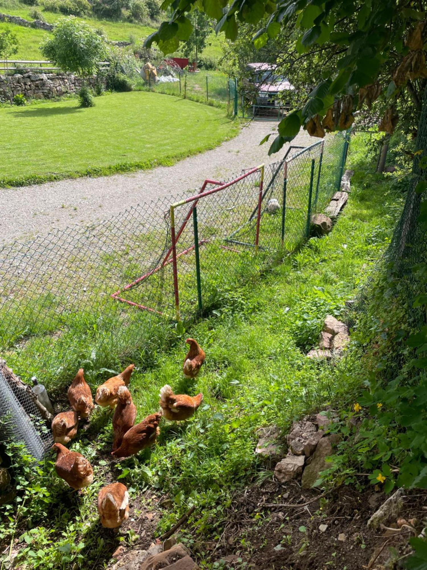 Los Chozos De La Brana Branosera Exteriör bild